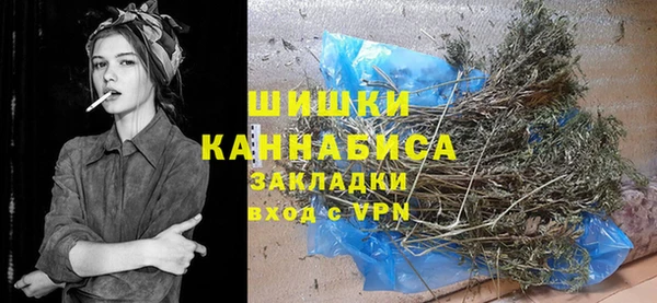 сатива Кодинск