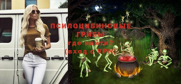 винт Костерёво