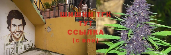 сатива Кодинск