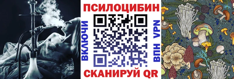 Купить  Котовск  Галлюциногенные грибы прущие грибы 