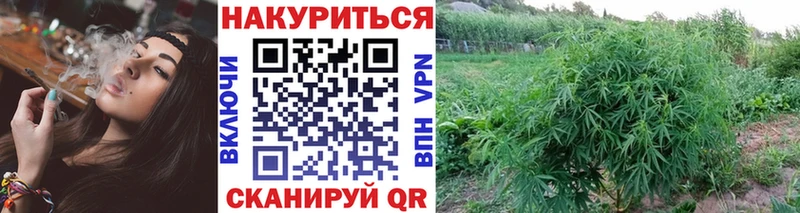 Шишки марихуана Ganja  Купить где  Котовск 